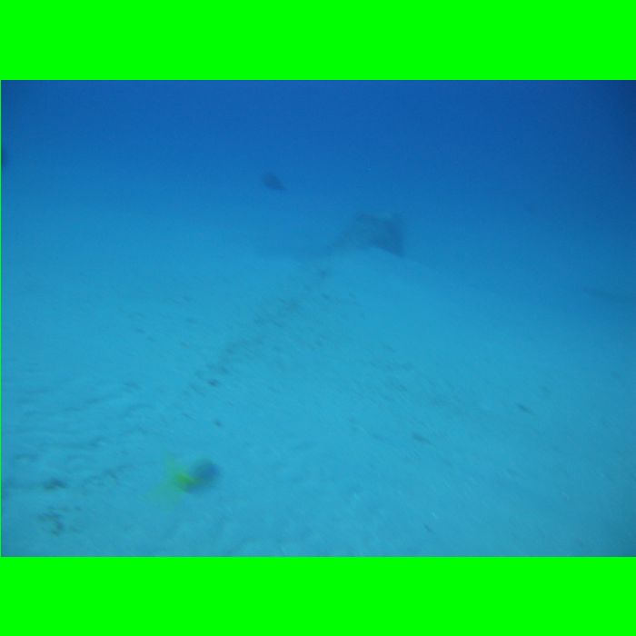 Dive WP Wrecks 25-Oct-09_422.JPG
